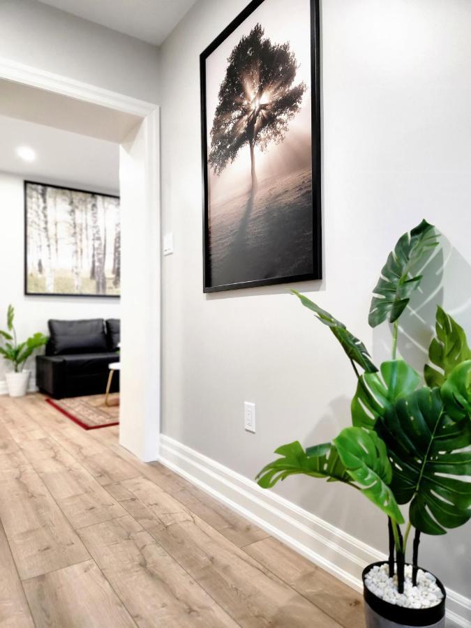 The Cozy Cove Modern King-Bedroom Full Apartment Saint Catharines Екстер'єр фото